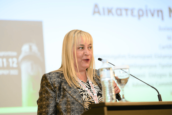 Εφαρμογή Εσωτερικού Ελέγχου